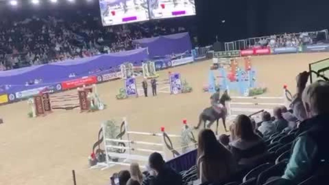 horse of the year show trip